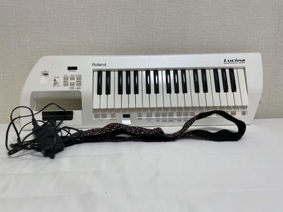 Roland Lucina Ax-9 keytar