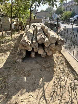 Toʻsin va shifer