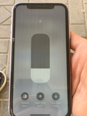 Iphone 11 hamma joyi radnoy