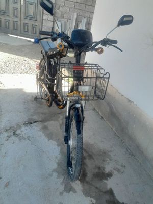 Elektrovelik sotiladi