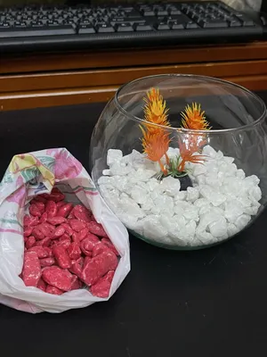 круглый аквариум