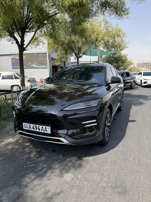 BYD Champion 605 km