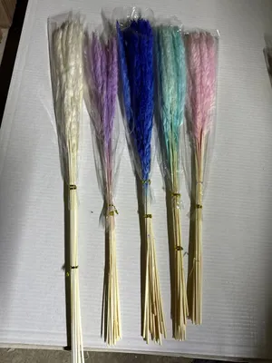 Dekorativniy gul quritilgan