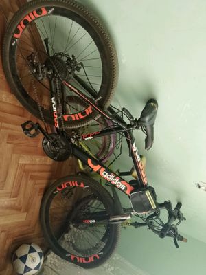 иккита велик 800 000