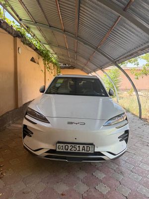 BYD chempion sotiladi 2024 probeg 100km