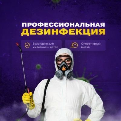 Уничтожение насекомых за один день дезинфекция клопы тараканы