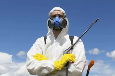 дезинфекция клопов dezinfeksiya klapa тараканов tarakan обработка клоп