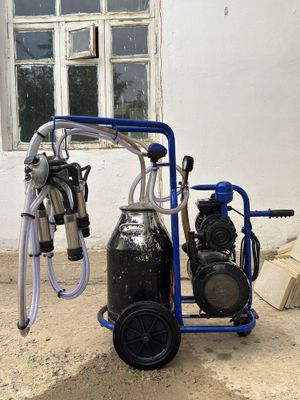 Sut sogish apparati