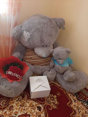 Teddy Ayiq eng katta razmeri