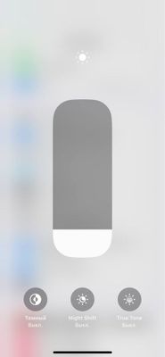 IPhone 12 mini.