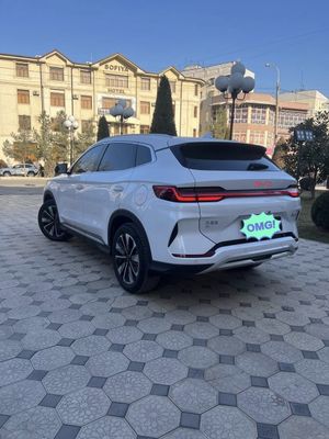 Byd Champion 605 retailing