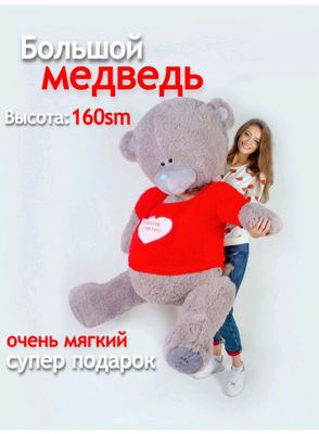 Teddy ayiq