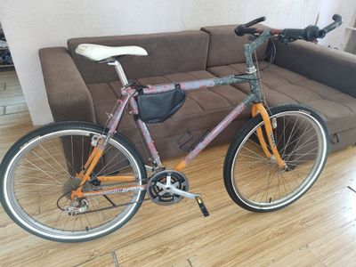 Velo professional