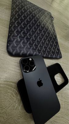 16 Pro Max black