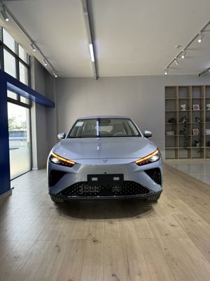 Neta L hybrid full 310 km
