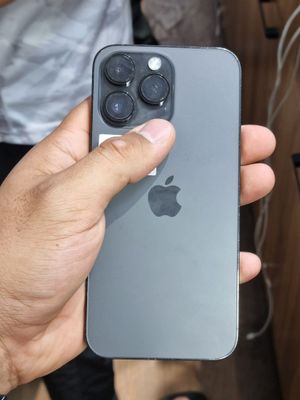 14 max 256 gb dual sim