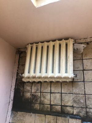 Atapleniya Qovurg’a Srochna sotiladi!!!!