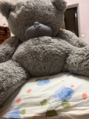 Тэдди очень хороший