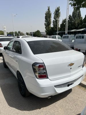 Cobalt midnight 2025