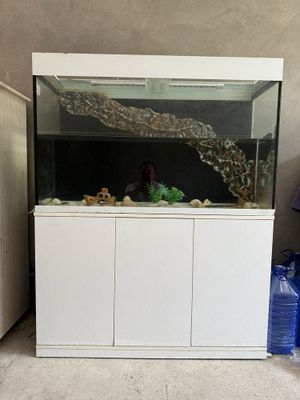 Akvarium 300 litrlik sotiladi