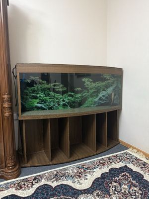 Akvaryum sotiladi srochna komplektda hamma narsalari bor