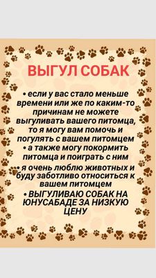 выгул собак на юнусабаде