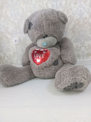 Teddy ayiq