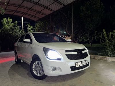 Koblt 2022 TOZA Oq srochna Cobalt
