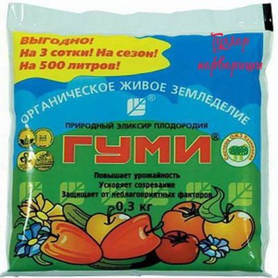 Gummi Гумми. .