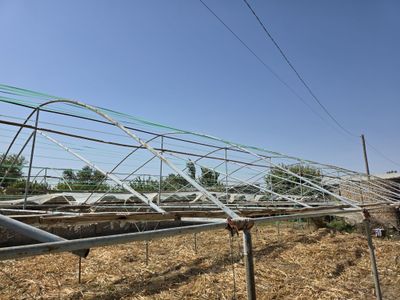 Парник сотилади тез ва арзон