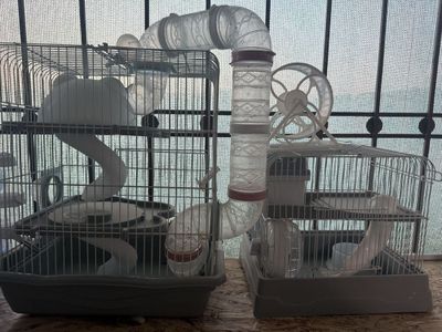 Продается домики для хомеков