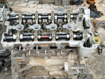 Malibu1 Mator galovka vanus sep