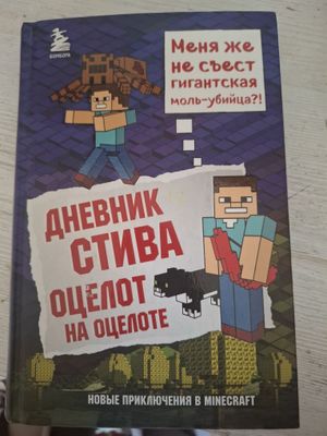 Книга о игре Роблокс.