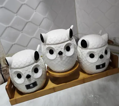 Ziravorlar uchun idish