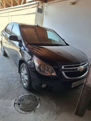 Кобальт 2023/2024