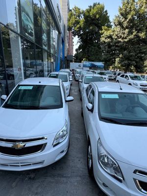 Cobalt style plus, Bez probek, 2025 yil