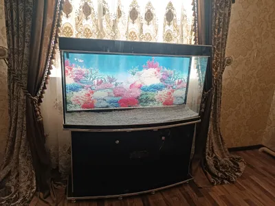 Akvarin sotiladi 300 lt hamma narsasi qoʻshiladi.
