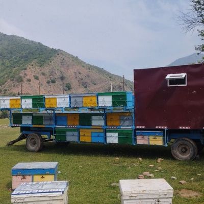 Ассалому алейкум хамкасипла Маши притсеп сотилади холати зор