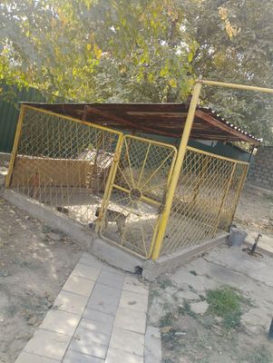 Продам вольер срочно из металла