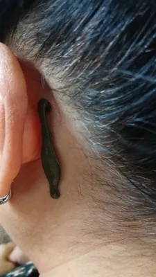 Ayollar uchun Hijoma zuluk massaj hizmati