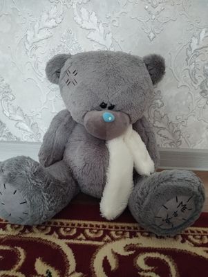 Teddy ayiqcha