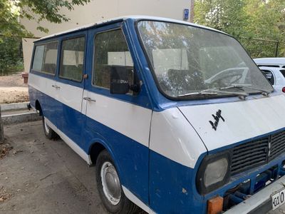 Продаеться Раф.