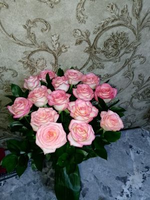 Продам Цветы новые