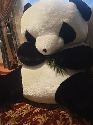 PANDA AYIQCASI. Yumwoq yengi.