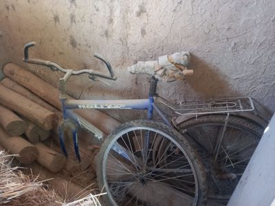 Velosiped 26 razmer