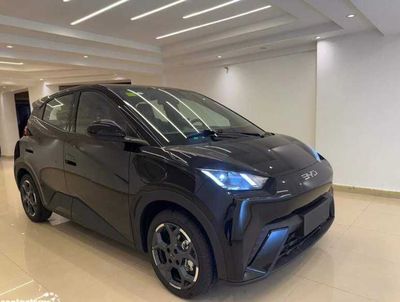 Yangi BYD Seagull 2025 rasmiy dilerdan kafolat bilan foydali kreditga