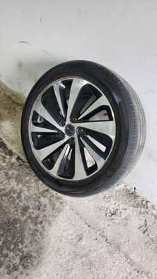 Byd champion diskasi R19