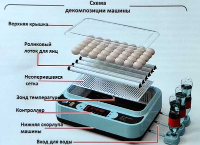 Инкубатор сотилади инкубатор яиц разных видов птицы на 36 яйца куриных