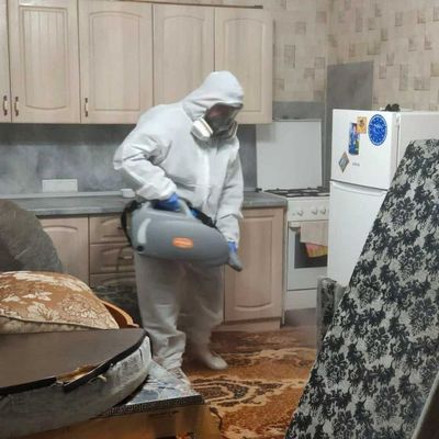 Dezinfeksiya Дезинфекция tarakan klop klapa burga chivin pashsha клоп