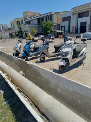Sifatli eletiro muraveylar